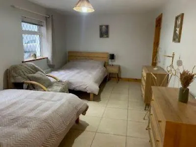 Shannon View Jungle House Vakantiehuis Athlone