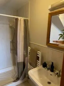 Shannon View Jungle House * Athlone