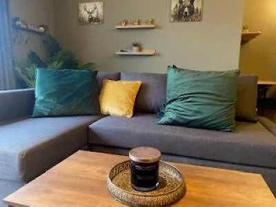 Shannon View Jungle House Vakantiehuis Athlone