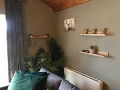 Vakantiehuis Shannon View Jungle House