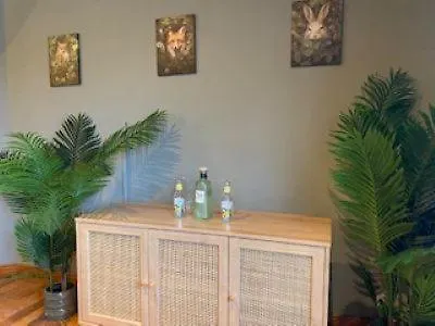 Shannon View Jungle House Athlone