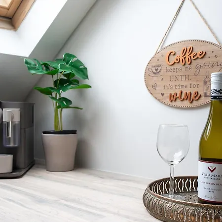 Shannon View Jungle House * Athlone