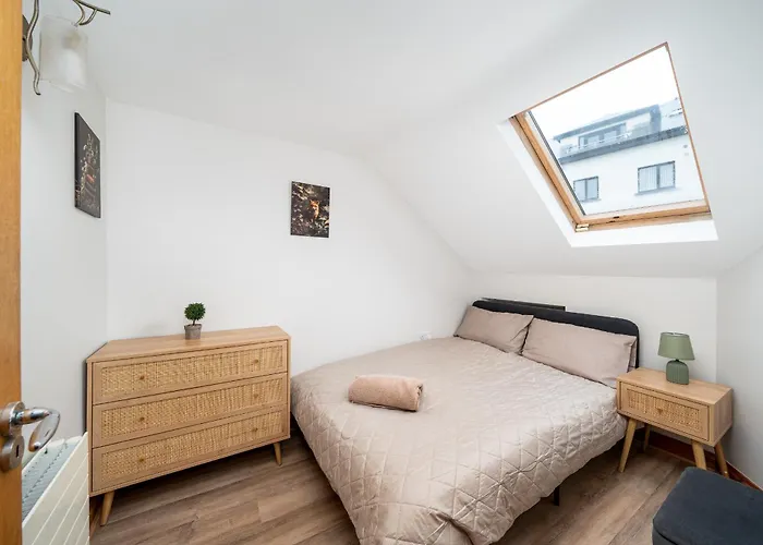 Shannon View Jungle House Casa vacanze Athlone