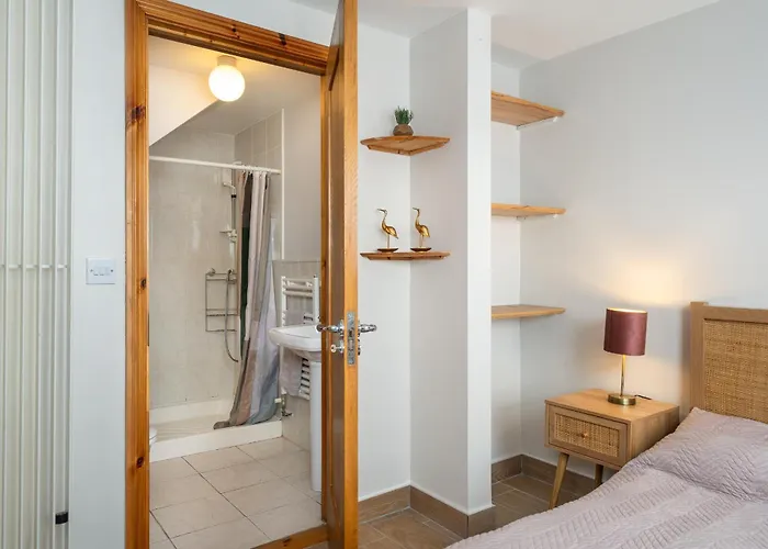 Shannon View Jungle House Athlone