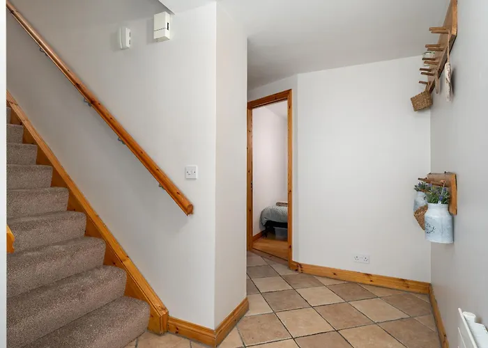 Shannon View Jungle House * Athlone