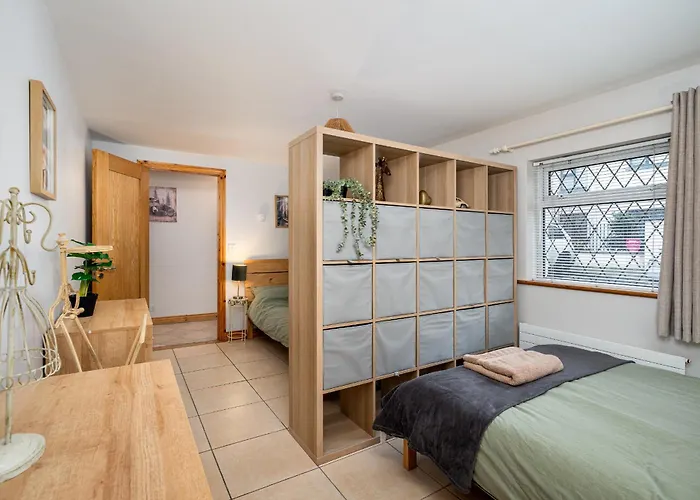 Shannon View Jungle House Athlone